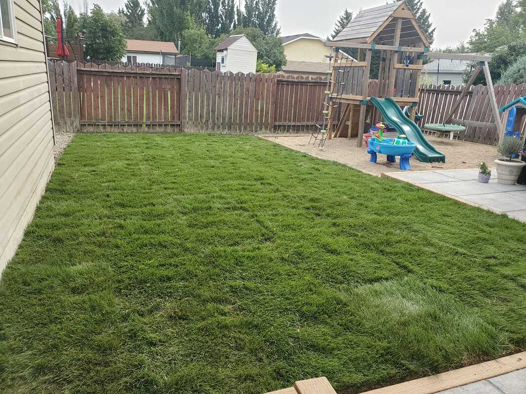 Spring Cleanup Project